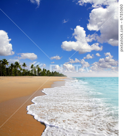 beach landscape 6785060
