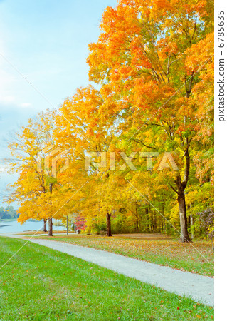 Colorful autumn park 6785635