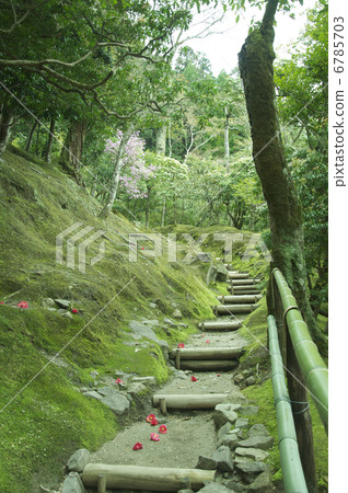 青苔花園和樓梯 6785703