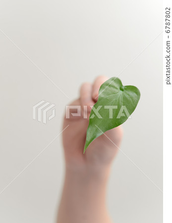 Hands with leaves Hands with leaves 6787802