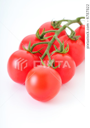 Mini Tomato Mini Tomato 6787822