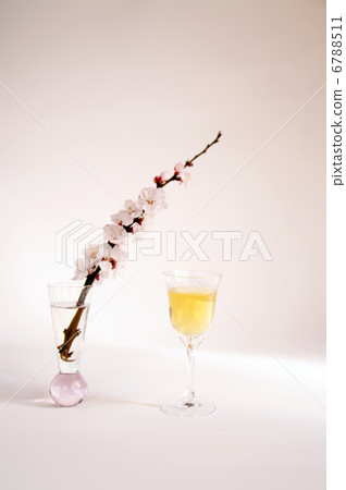 Anzu's flower and apricot sake Anzu's flower and apricot sake 6788511