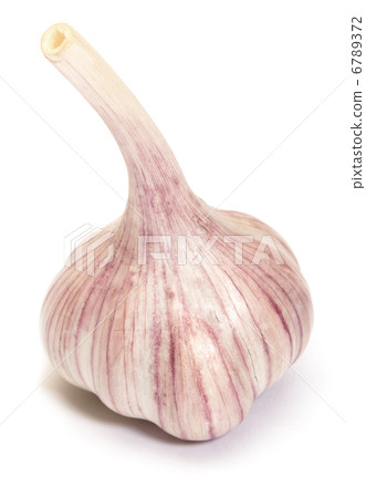 Garlic Garlic 6789372