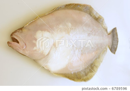 蘑菇（背部和鳥瞰圖） 6789596
