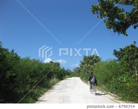 竹富島之旅 6790354