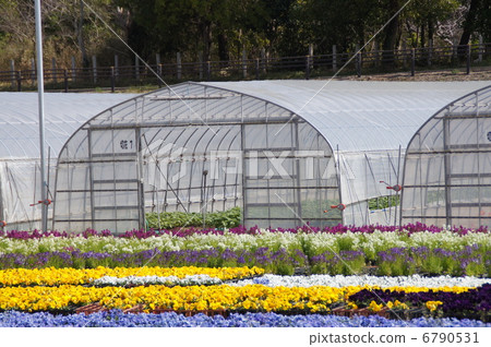 House cultivation 6790531