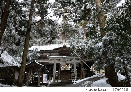 Yuki shrine surrounded by cedar forest Yuki shrine surrounded by cedar forest 6790968