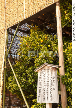 Heian Jingu shrine right nearby 6790976