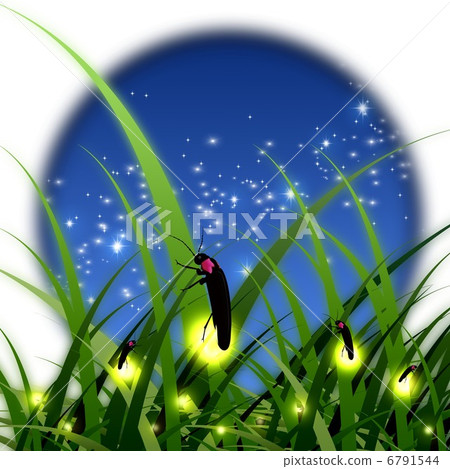 螢火蟲 6791544