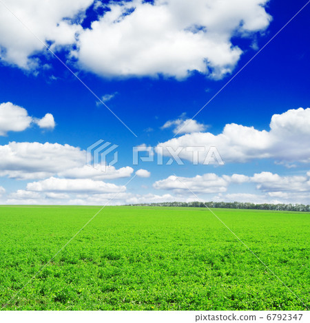 spring field spring field 6792347