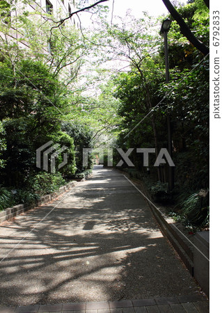 Kamiya-cho green road 6792833