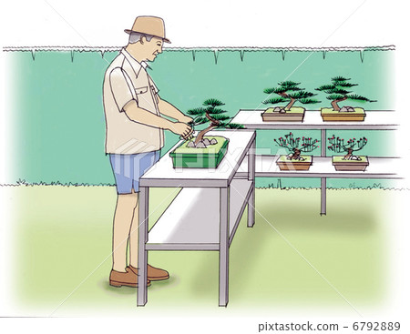 關心盆景的人的例證 關心盆景的人的例證 6792889