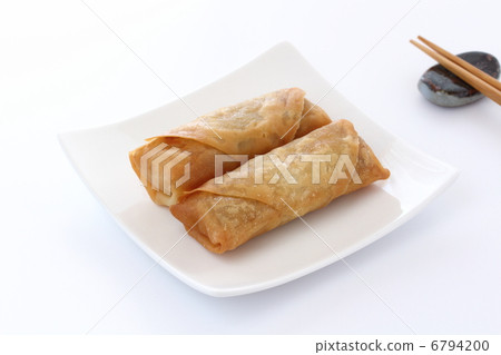 Spring Rolls 6794200