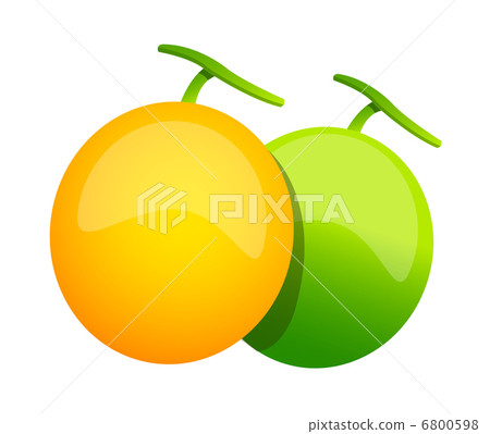 vector icon melon 6800598
