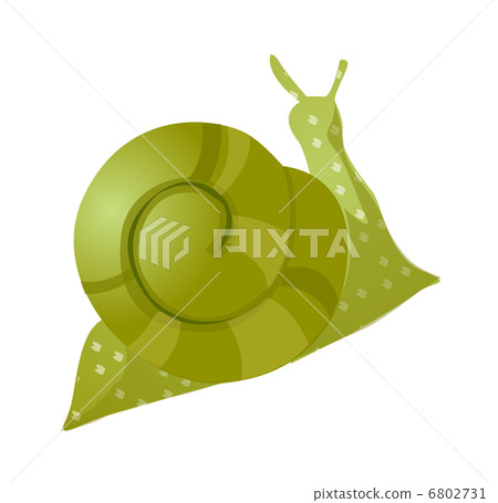 vector icon snail 6802731