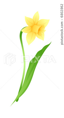 vector icon flower vector icon flower 6802862