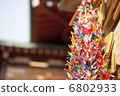 A thousand paper cranes of Kameido heaven shrine 6802933