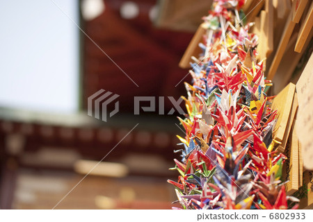Kameido天堂神社的千紙鶴 Kameido天堂神社的千紙鶴 6802933