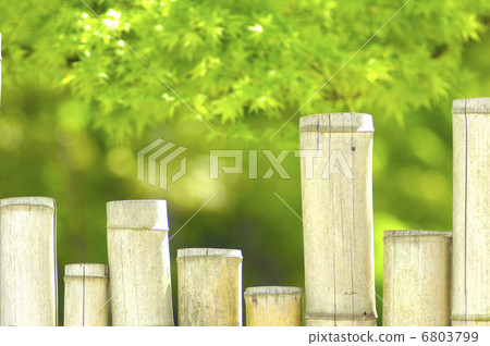 竹圈 6803799
