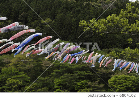 Carp streamer Carp streamer 6804102