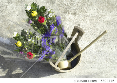 春分週 春分週 6804446