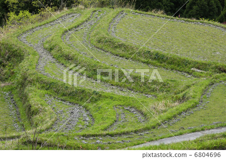 Rice terraces 6804696