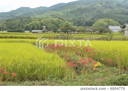 Autumn country garden 6804770