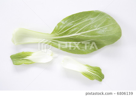 Bok-choy Bok-choy 6806139