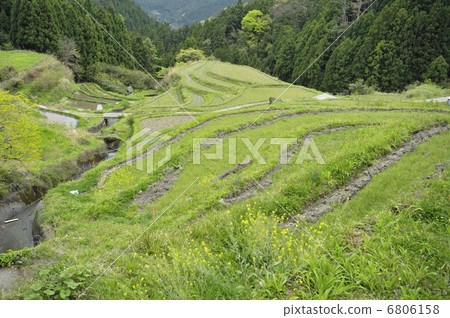 Rice terraces 6806158