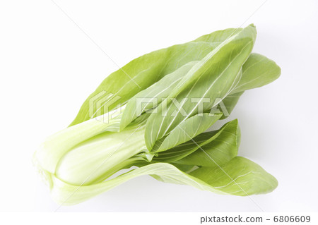 Bok-choy Bok-choy 6806609