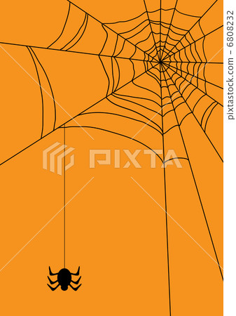 gossamer, animal, insect 6808232