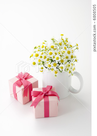 母系花和禮品盒 6808505