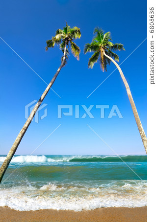 Beautiful tropical landscape with ocean beach and palm trees und Beautiful tropical landscape with ocean beach and palm trees und 6808636