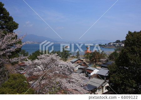 Miyoshima Miyoshima 6809122