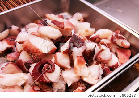 octopus 6809288