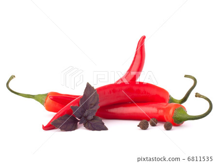 Hot red chili or chilli pepper and basil leaves still life Hot red chili or chilli pepper and basil leaves still life 6811535