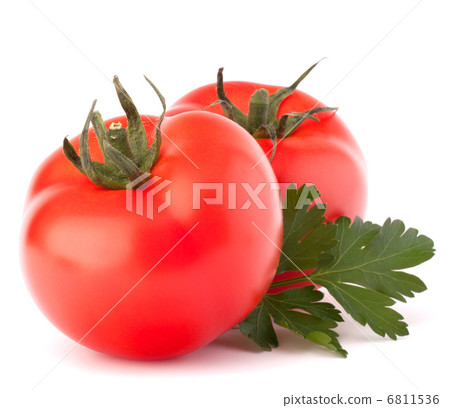Two tomato vegetables and parsley leaves still life Two tomato vegetables and parsley leaves still life 6811536