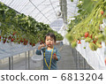 Strawberry picking 6813204