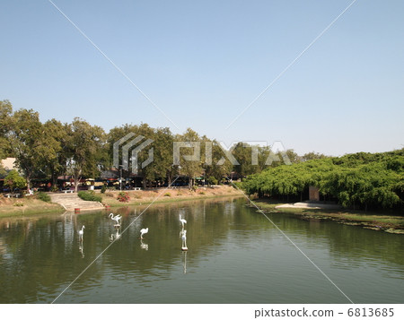 泰國Pimarly標誌膠公園 泰國Pimarly標誌膠公園 6813685