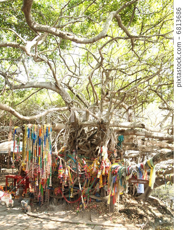 泰國Pimarly標誌膠公園 泰國Pimarly標誌膠公園 6813686