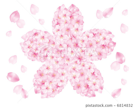 Sakura _ Silhouette Sakura _ Silhouette 6814832
