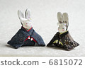 Pair of rabbits 6815072