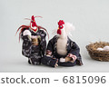 Pair of chickens 6815096