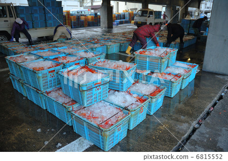 Deep-fried crab at Kosumi fishing port 6815552