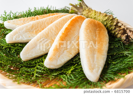 用hinoki竹筍和主要書籍Aoi  -  Zabori（白色背面） 6815700