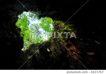 Wilson stock 6815767