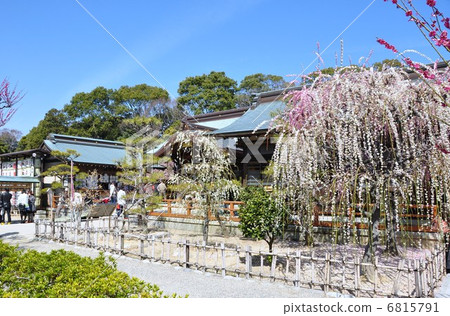 Yujing Ume Yuuki Shrine 6815791