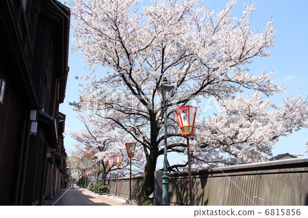 首席鎮Chaya街 首席鎮Chaya街 6815856