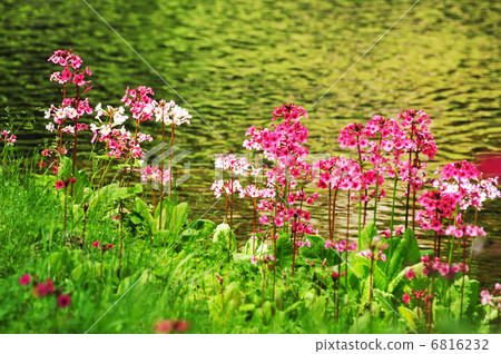 Clinic Clinic 6816232