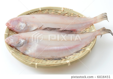 Mountain curry 6816431